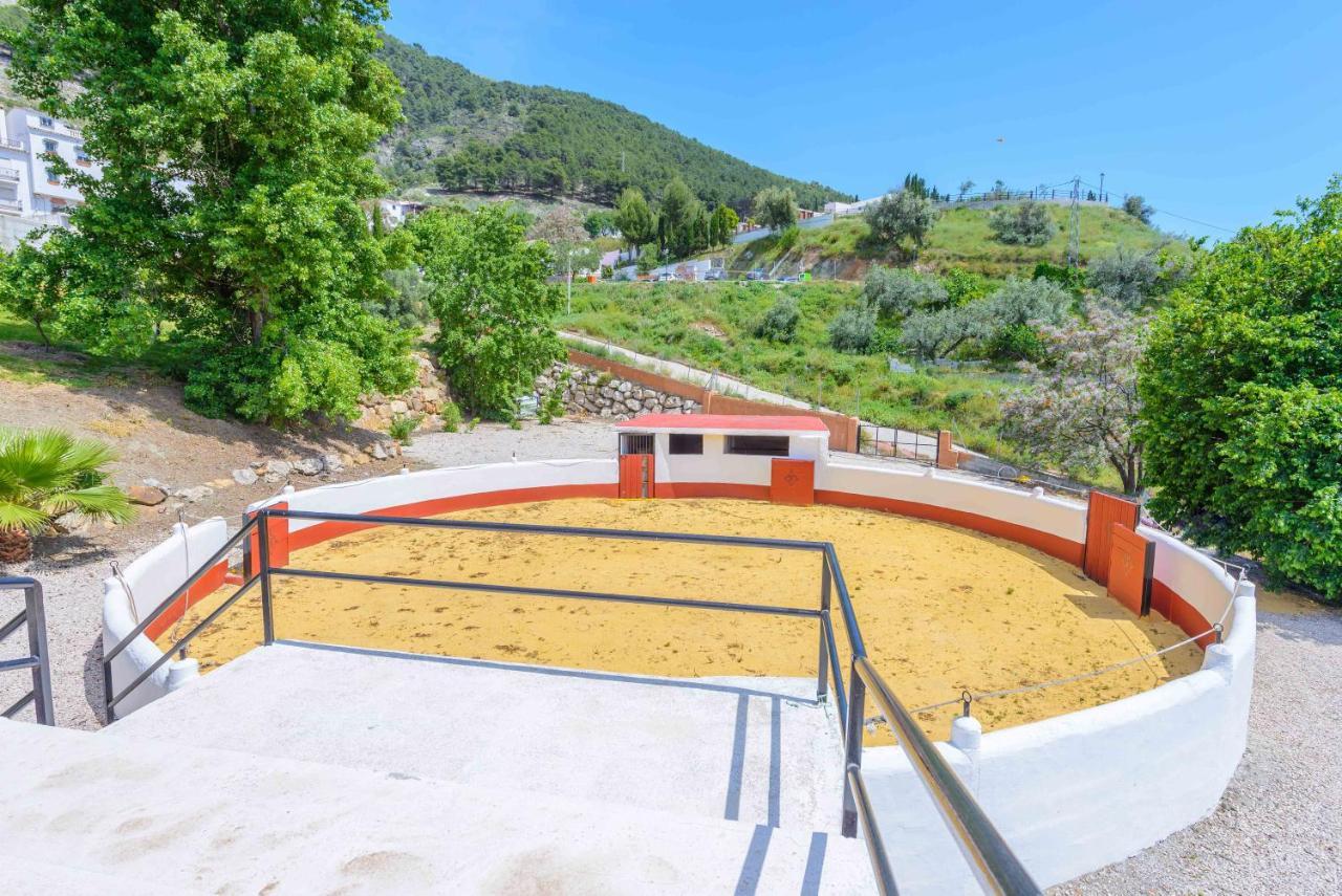 Casa Flores Con Piscina Interior Climatizada Alcaucín Exteriér fotografie
